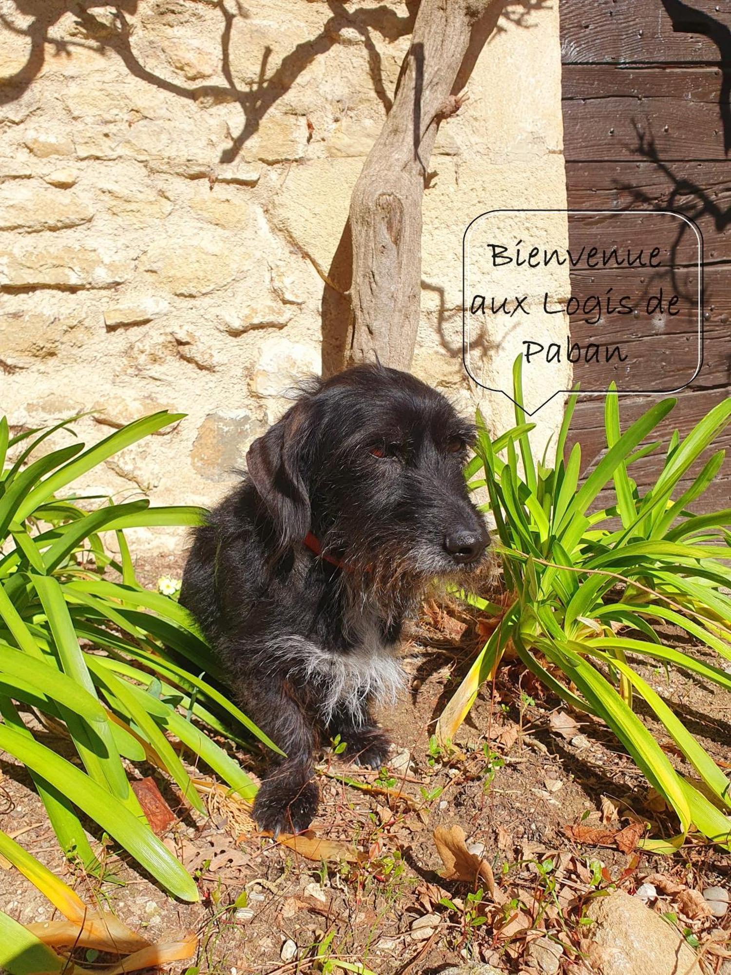 Les Logis De Paban Bed & Breakfast Crestet Exterior photo